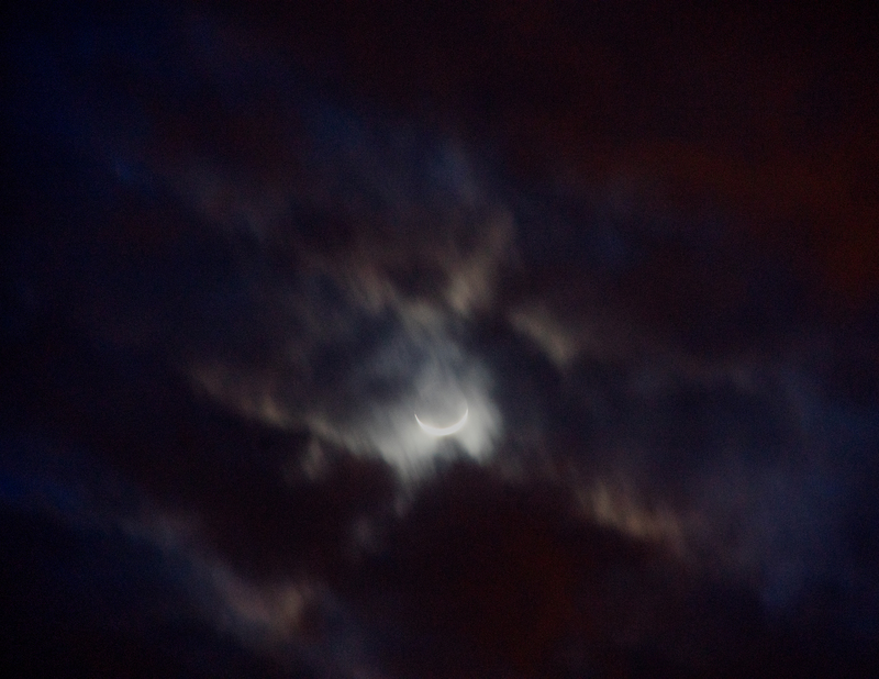 アート・デザイン・音楽 Coley Brown / Deeper Than Night [signed] Coley Brown - Deeper Than Night | Silent Sound Books