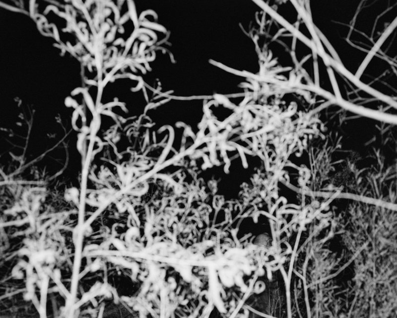 xhbtr_fb034840-4eea-4857-a6fe-