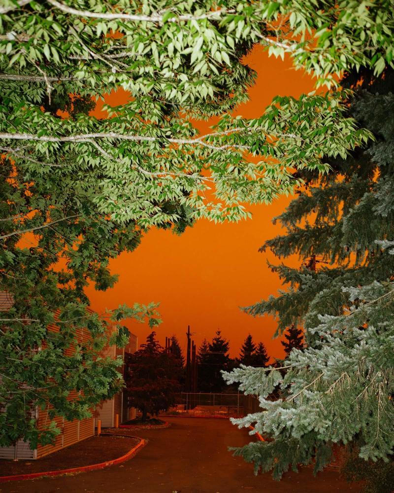 xhbtr_7e883a37-b540-40a1-b9a7-