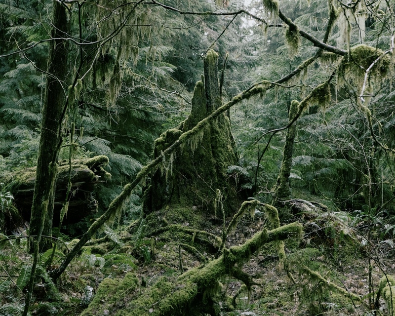 xhbtr_f352a4c4-a0bb-4d14-acf5-