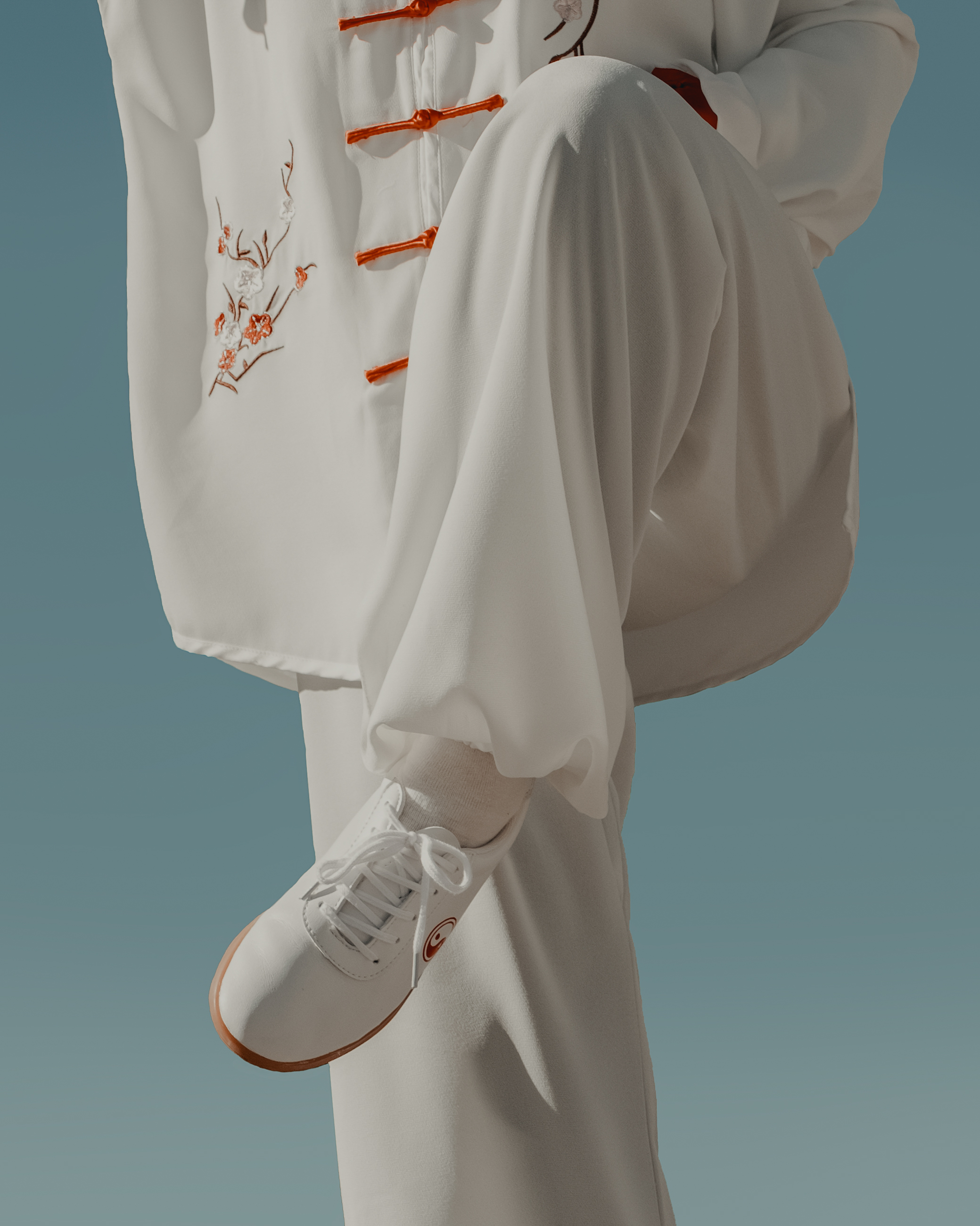 tai chi evelynfreja